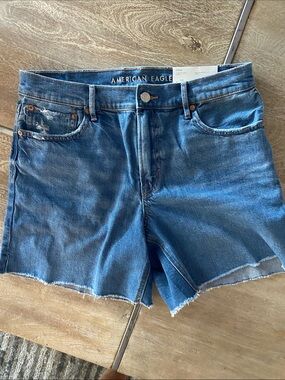 American Eagle Outfitters Women's Denim Cutoff Shorts in Blue